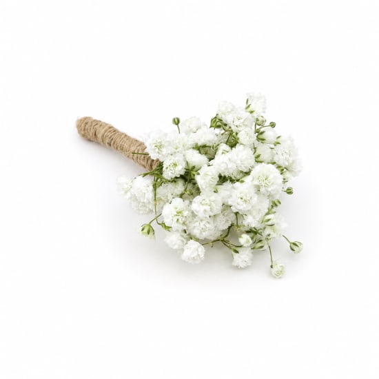 Gypsophila Buttonhole - Standard (view 3 of 3)