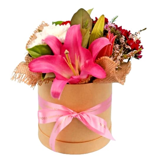 Petal Party Hat Box - Standard