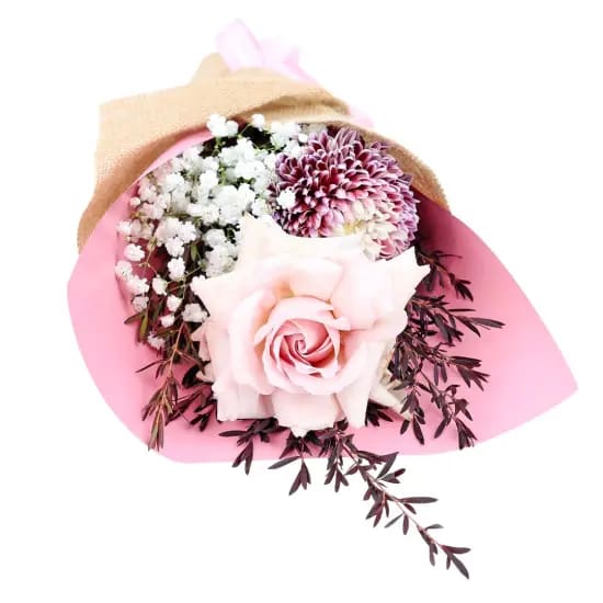 Little Elegant Fantasy - Standard