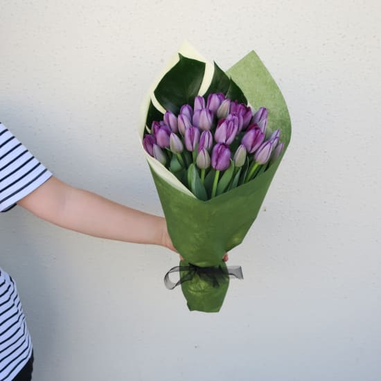 Purple Tulips - Premium