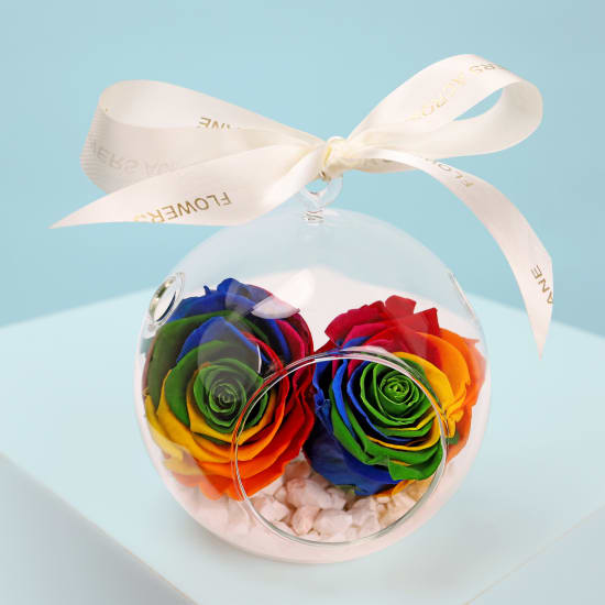 Preserved Rainbow Rose Orb - Deluxe