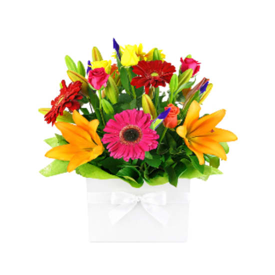 Vivacious Mixed Brights Flower Box - Standard