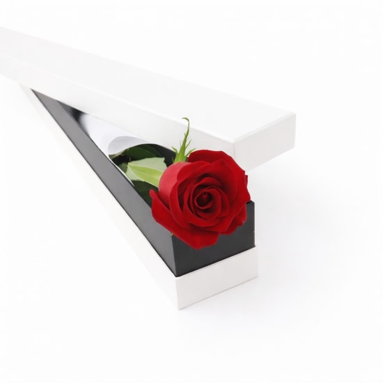 Valentine's Single Red Rose Box - Standard