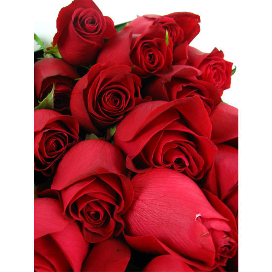 24 Elegant Gift Boxed Roses - 24 Roses(Two Dozen)