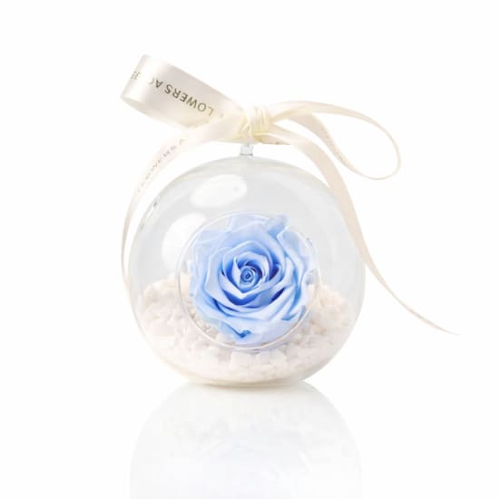 Preserved Blue Rose Orb - Standard