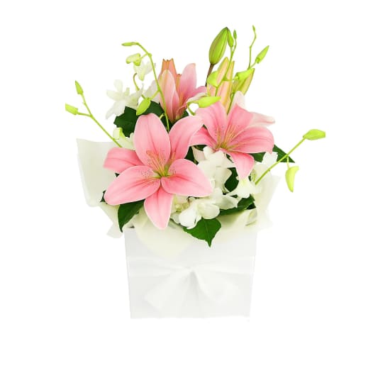 Making Magic Posy Box - Deluxe
