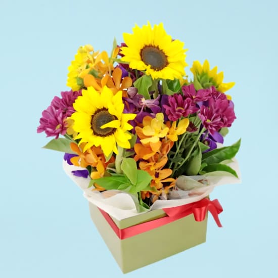 Radiant Bright Flower Box - Standard