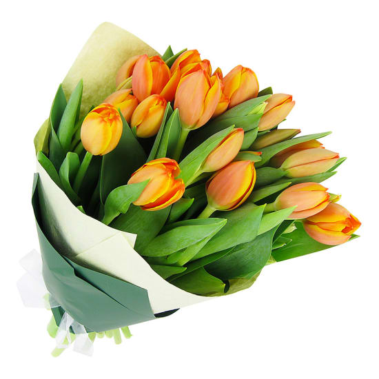 Orange Tulip Bunch - Deluxe