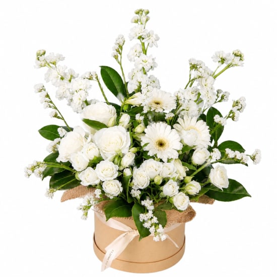 Whisker Friendly Blooms - Standard