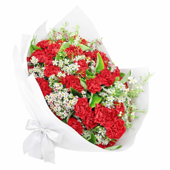 Romantic Carnation Bouquet - Standard