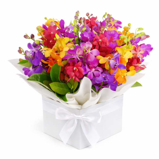 Kaleidoscope Orchid Flower Box - Premium