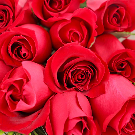 Valentine's 12 Red Rose Bouquet - 12 Roses (One Dozen)