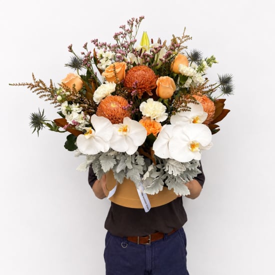 Champagne Bloom - Standard