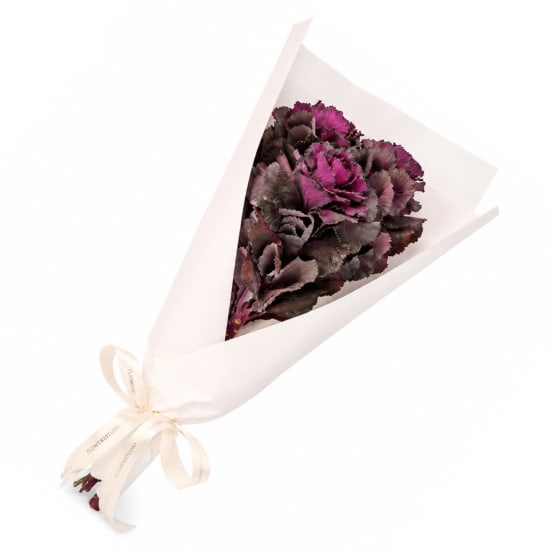 Purple Kale Market Bunch - Standard