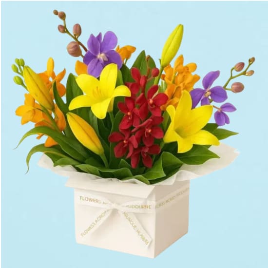 Making Magic Mixed Brights Posy Box - Deluxe