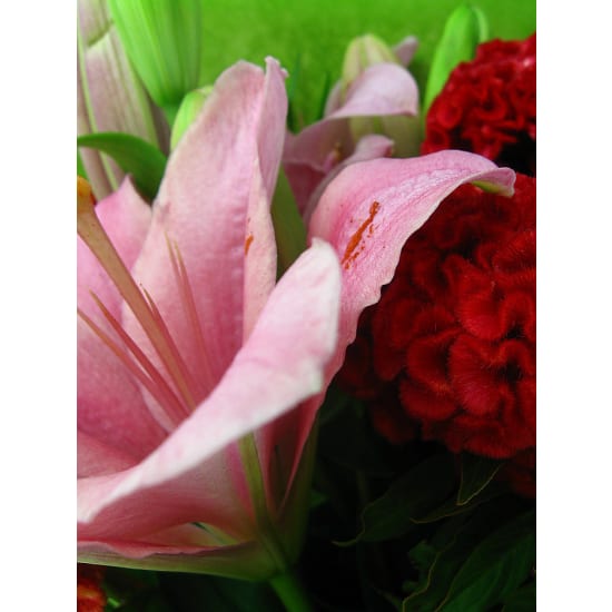 Extraordinary - Deluxe