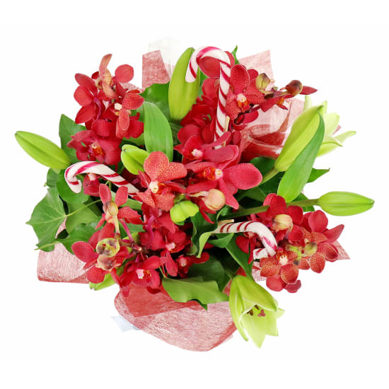 Making Xmas Magic Red & White - Standard