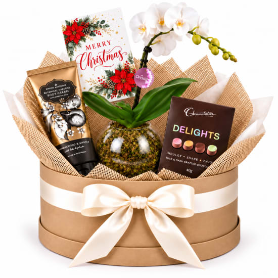 🎄🤍 Christmas Orchid & Indulgence Plant Hamper 🤍🎄 - Standard