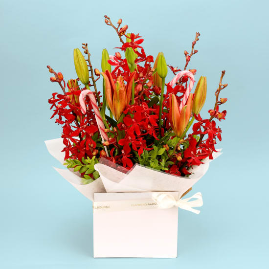 Making Christmas Magic - Deluxe