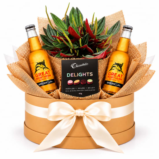 🌿🍺 Peperomia Rosso, Beer & Chocolate Plant Hamper 🍫🌿 - Standard