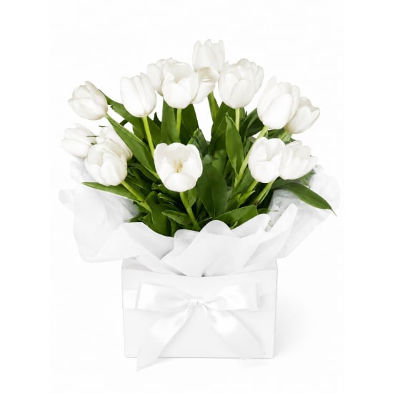 Divine Tulips Flower Box - Standard