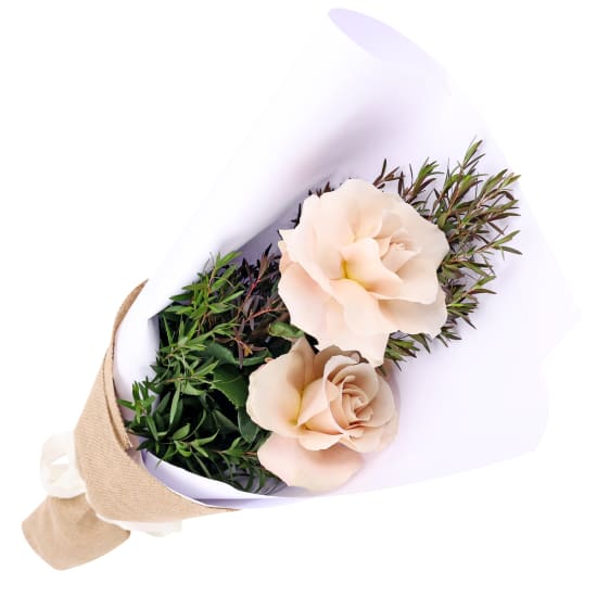 Little Graceful Gestures - Deluxe