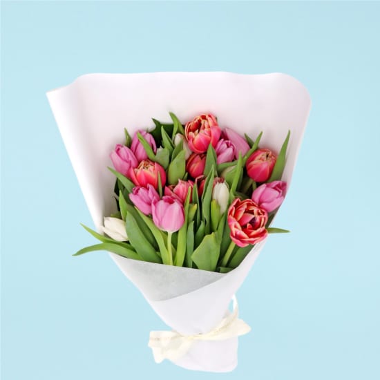 Mixed Pastels Tulip Bunch - Deluxe