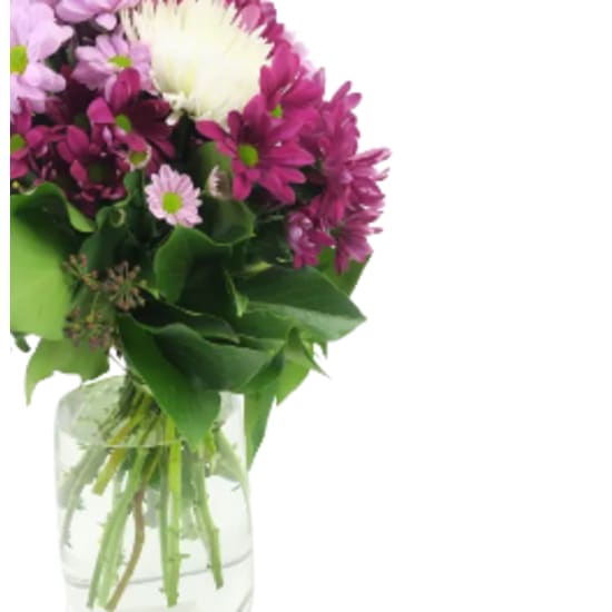 Florist Choice Vase - Deluxe