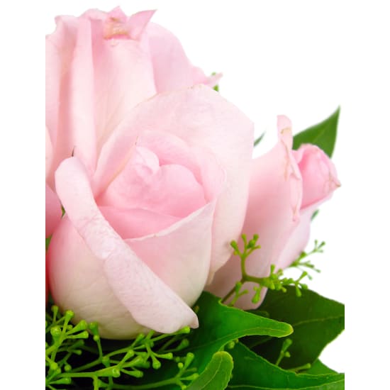 Pink Rose Vase - Deluxe