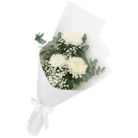 Darling Disbuds - Standard