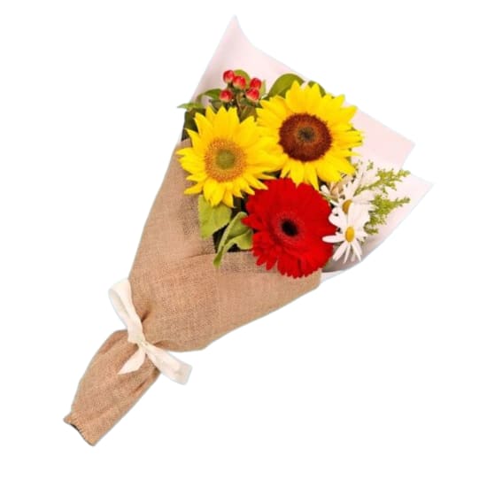 Summers Golden Glow - Standard