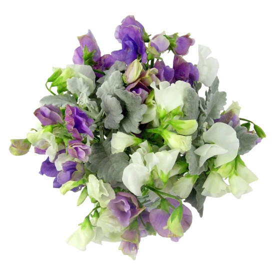 Back To Nature Sweet Pea Flower Vase - Standard