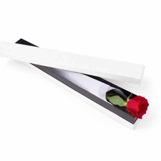 Valentine's Single Red Rose Box - Standard