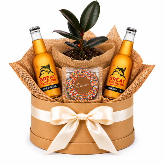 🌿🍺 Ruby Ficus & Brews Plant Hamper 🍺🌿 - Standard
