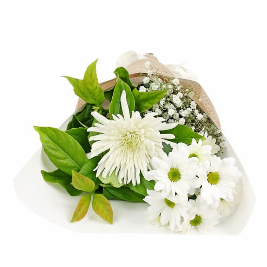 Little Thinking Of You Bunch - Standard