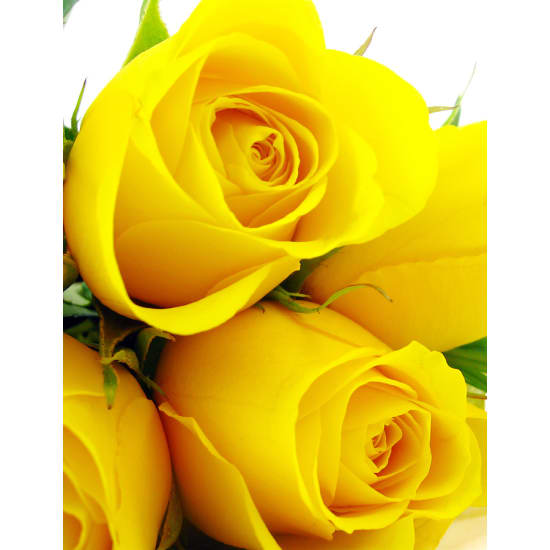 Yellow Rose Bouquet - Standard