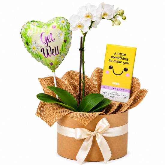 💛🤍 Brighter Days Orchid Hamper 🤍💛 - Standard