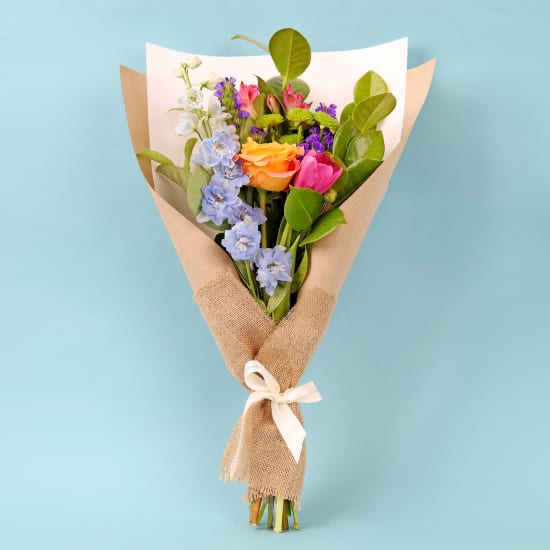 Enchanted Dreamscape - Deluxe