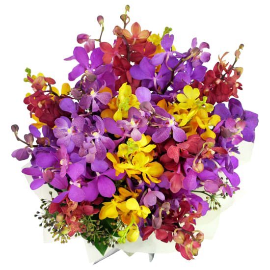 Kaleidoscope - Deluxe