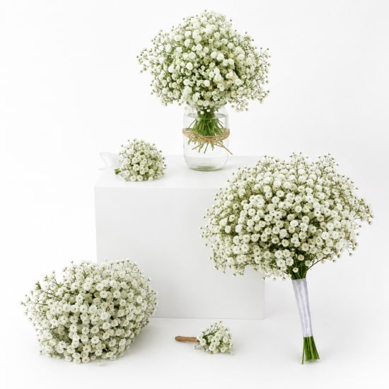 Gypsophila Wedding Package