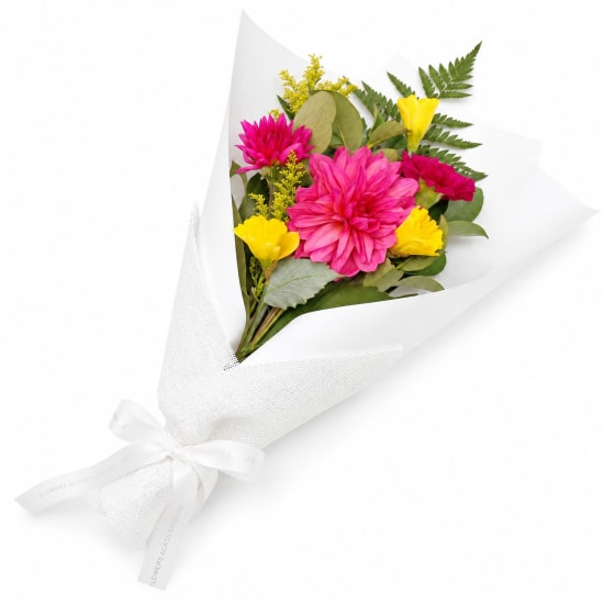 Dahlia Delight - Standard