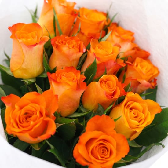 12 Roses Bouquet - 12 Roses(One Dozen) (view 5 of 5)