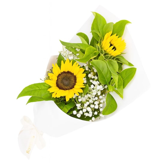 Cheerful Sunflowers - Standard