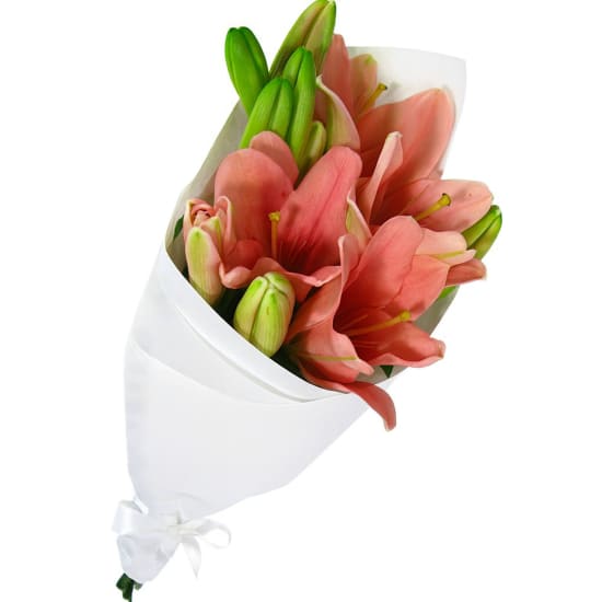 Lily Bunch - Standard