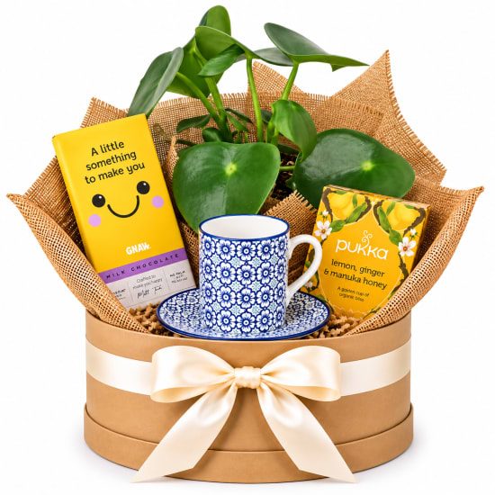 ☕🪴 A Cup Of Happiness Plant Hamper 🪴☕ - Standard