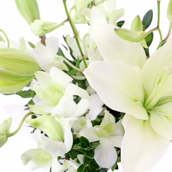 Making Magic - White  - Standard