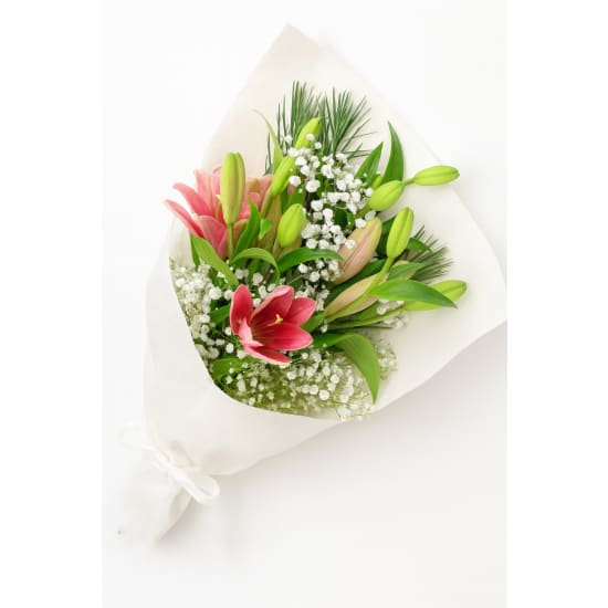 Lily Lady - Standard