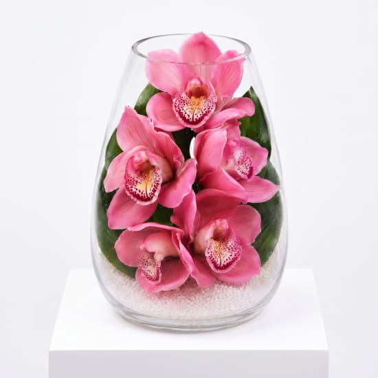 Beauty Beheld Cymbidium Orchid Vase - Standard (view 2 of 4)