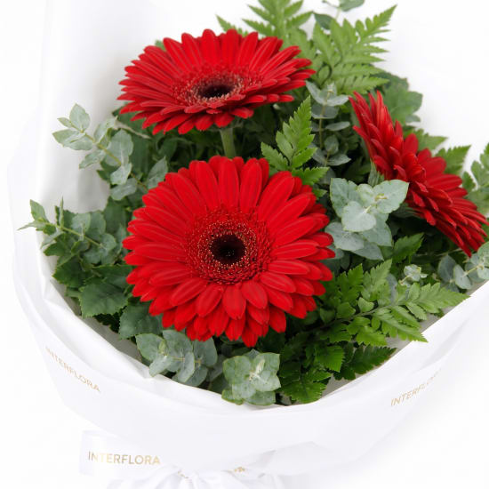 Gerbera Gems Posy - Standard (view 4 of 4)
