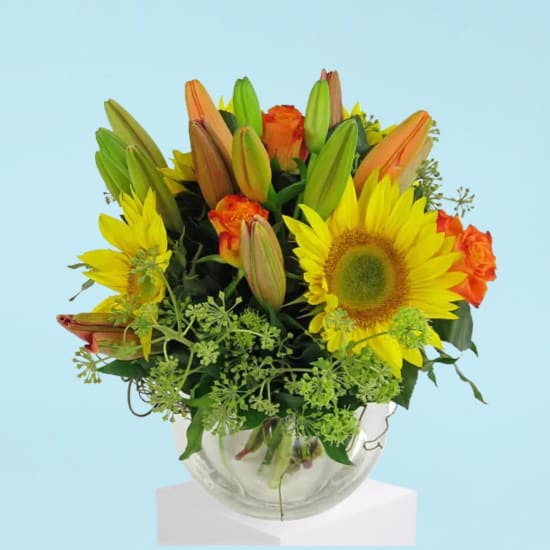 Splendours Of The Season - Standard